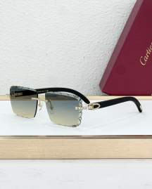 Picture of Cartier Sunglasses _SKUfw77796316fw